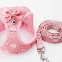Cat Chain Traction Rope Set, Chest Harness, Cat Harness, Cat Collar, Dog Leash