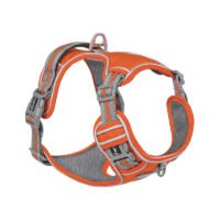 Pets out chest strap - Orange, M