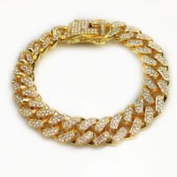 Hip Hop Collars For Pets - Gold, 20cm