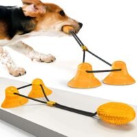 Suction Cup Pets Toys - Drange silent