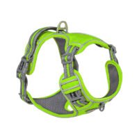 Pets out chest strap - Green, M