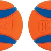 Chuckit! Ultra Ball Dog Toy, Medium (2.5 Inch Diameter) Pack of 2, for breeds 20-60 lbs
