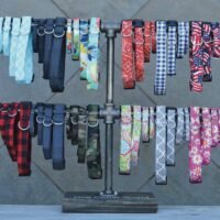 Dog Collar World Starter Pack (48 Collars) w/ Free Display